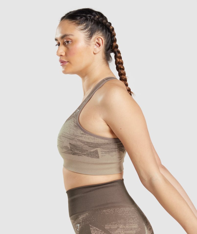 Women's Gymshark Adapt Ombre Seamless Sports Bra Brown | NZ 6PMGRU